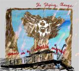 FLYING CHANGE