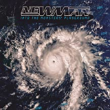 NEWMAN NEWMAN