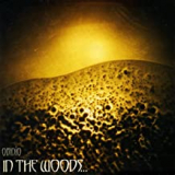 IN THE WOODS IN THE WOODS