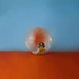 CARA ALESSIA CARA ALESSIA