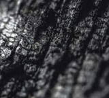 PARALLEL WORLDS PARALLEL WORLDS