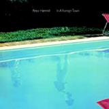 HAMMILL PETER HAMMILL PETER