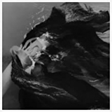 SAMSON WILL SAMSON WILL