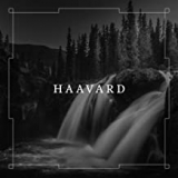 HAAVARD HAAVARD