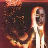 FUTURE SOUND OF LONDON