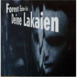 DEINE LAKAINEN