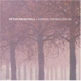 BRUNTNELL PETER BRUNTNELL PETER