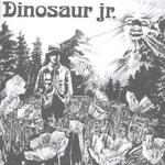 DINOSAUR JR