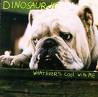 DINOSAUR JR