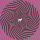 DEERHUNTER