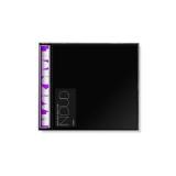 BLACK DEVIL DISCO CLUB