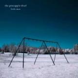 PINEAPPLE THIEF PINEAPPLE THIEF