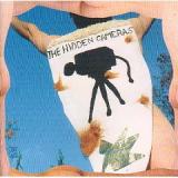 HIDDEN CAMERAS