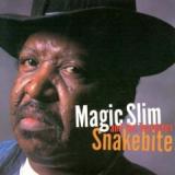 MAGIC SLIM & TEARDROPS