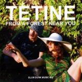TETINE