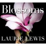 LEWIS LAURIE