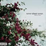 NEVER SHOUT NEVER