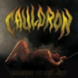 CAULDRON