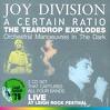 JOY DIVISION
