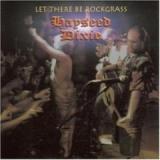 HAYSEED DIXIE