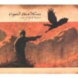 CRIPPLED BLACK PHOENIX