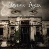 FLASHBACK OF ANGER