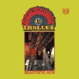 PEPPERMINT TROLLEY COMPANY