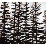 WHEELER CHERYL WHEELER CHERYL