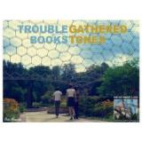 TROUBLE BOOKS