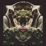 MIDLAKE