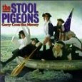 STOOL PIGEONS
