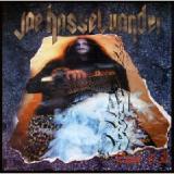 HASSELVANDER JOE