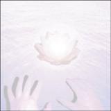 DOLPHINS INTO THE FUTURE