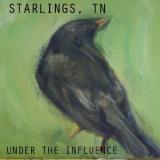 STARLINGS TN