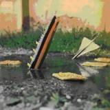 BROWN PETER & PIBLOKTO