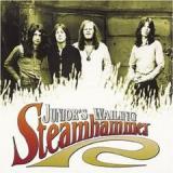 STEAMHAMMER