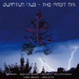 QUANTUM DUB