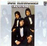 LOS CHICHOS