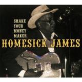 HOMESICK JAMES