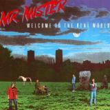 MR. MISTER