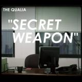 QUALIA