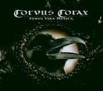 CORVUS CORAX