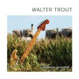 TROUT WALTER