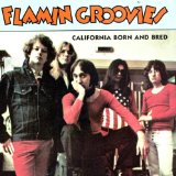 FLAMIN GROOVIES