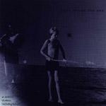 FLIES INSIDE THE SUN