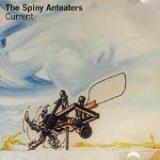 SPINY ANTEATERS