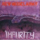 NEW MODEL ARMY