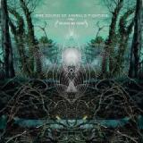 SOUND OF ANIMALS FIGHTING