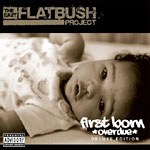 EAST FLATBUSH PROJECT