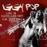 POP IGGY